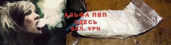 spice Беломорск
