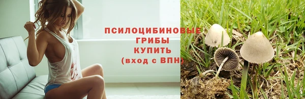 spice Беломорск