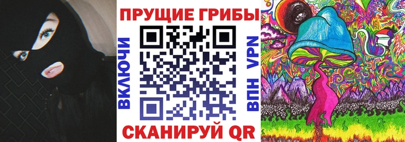 Псилоцибиновые грибы Cubensis  Кунгур 