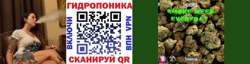 Бошки Шишки VHQ  Кунгур 